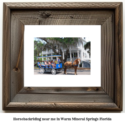 horseback riding near me in Warm Mineral Springs, Florida